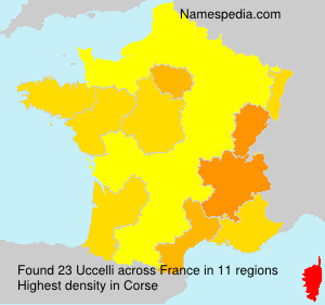 Surname Uccelli in France