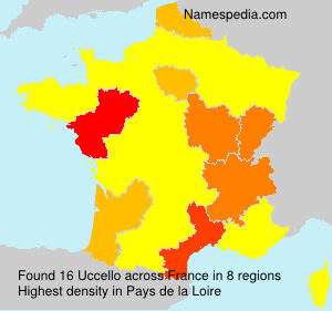 Surname Uccello in France