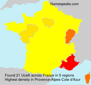 Surname Ucelli in France