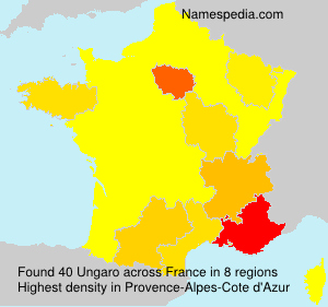 Ungaro Ungaro