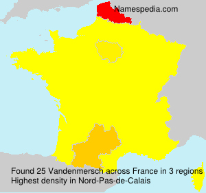Surname Vandenmersch in France