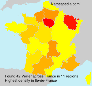 Surname Veiller in France