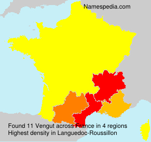 Surname Vengut in France