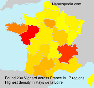 Surname Vignard in France Surname Vignard in France