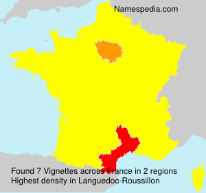 Surname Vignettes in France Surname Vignettes in France