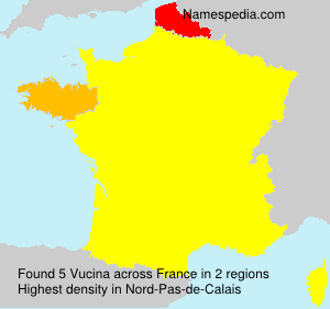 Surname Vucina in France