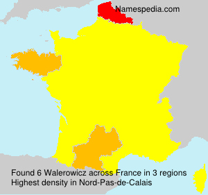 Surname Walerowicz in France Surname Walerowicz in France