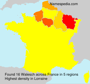 Surname Walesch in France Surname Walesch in France