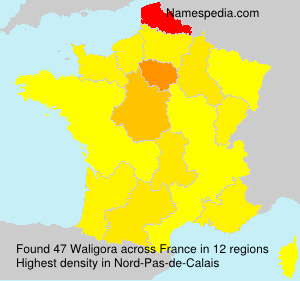 Surname Waligora in France Surname Waligora in France