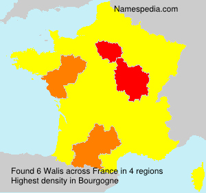 Surname Walis in France Surname Walis in France