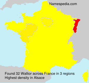 Surname Wallior in France