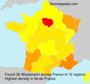 Surname Weissmann in France Surname Weissmann in France