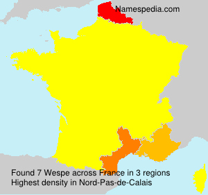 Wespe Wespe