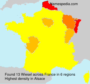 Wiesel Wiesel