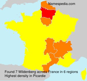Surname Wildenberg in France Surname Wildenberg in France