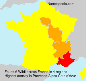 Surname Wildi in France Surname Wildi in France