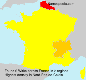 Surname Witka in France
