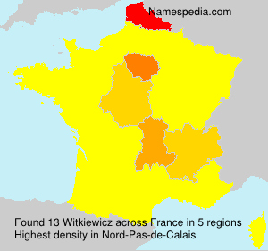 Surname Witkiewicz in France Surname Witkiewicz in France