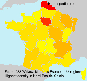 Surname Witkowski in France Surname Witkowski in France