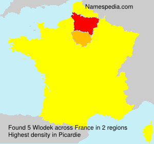 Surname Wlodek in France Surname Wlodek in France