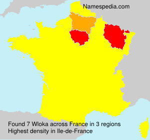 Surname Wloka in France