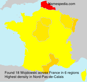 Surname Wojdowski in France Surname Wojdowski in France