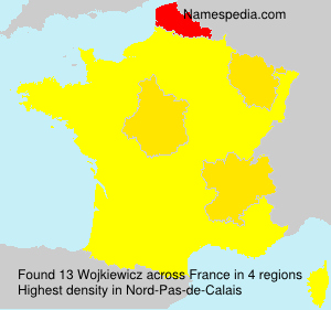 Surname Wojkiewicz in France Surname Wojkiewicz in France
