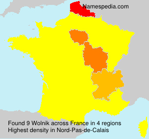 Surname Wolnik in France Surname Wolnik in France