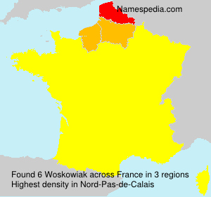 Surname Woskowiak in France Surname Woskowiak in France