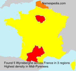 Surname Wynsberghe in France Surname Wynsberghe in France