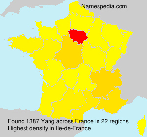 Surname Yang in France
