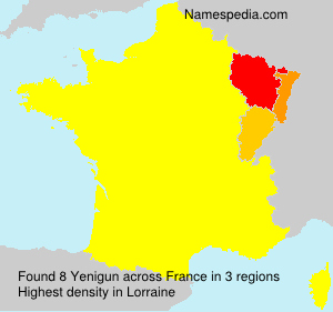 Surname Yenigun in France