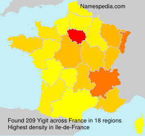 Surname Yigit in France
