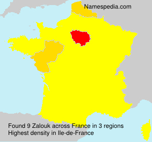 Surname Zalouk in France
