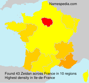 Surname Zeidan in France Surname Zeidan in France