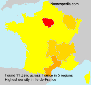 Zelic Zelic