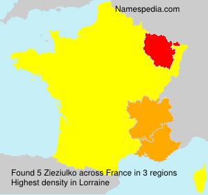 Surname Zieziulko in France Surname Zieziulko in France