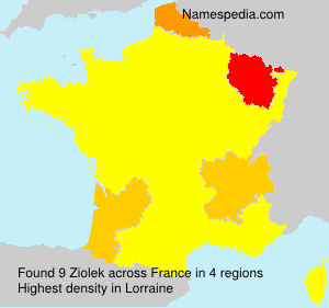 Surname Ziolek in France Surname Ziolek in France