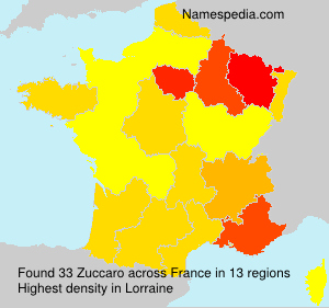 Surname Zuccaro in France Surname Zuccaro in France