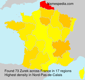 Surname Zurek in France Surname Zurek in France