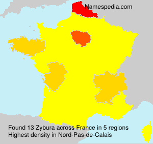 Surname Zybura in France