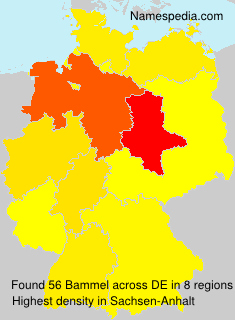 Bammel Bammel