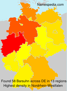 Surname Barsuhn in Germany Surname Barsuhn in Germany