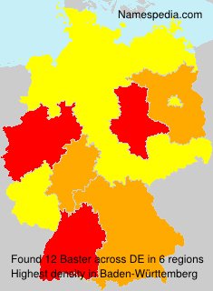 Surname Baster in Germany Surname Baster in Germany