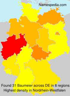 Baumeier Baumeier