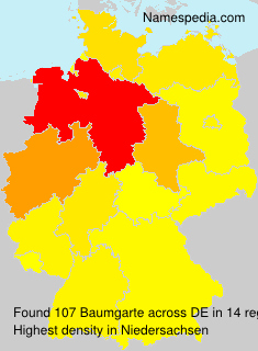 Baumgarte Baumgarte