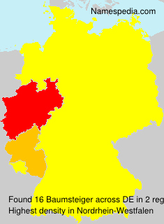 Baumsteiger Baumsteiger