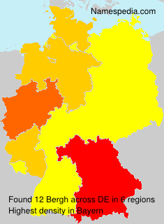 Bergh Bergh