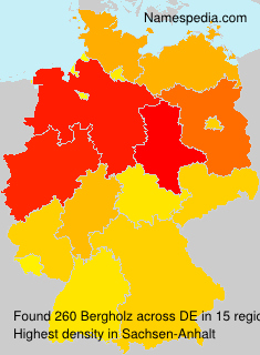 Surname Bergholz in Germany Surname Bergholz in Germany