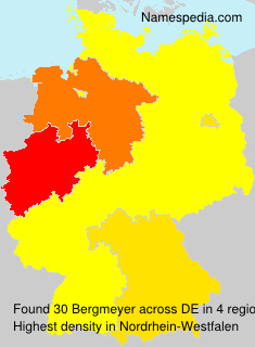 Bergmeyer Bergmeyer
